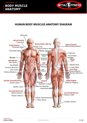 Fitness Fundamentals cover